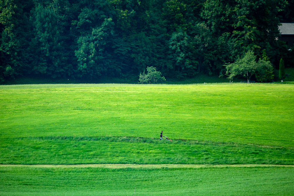 Landschaft Grüne Wiese